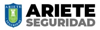Logo de Ariete Seguridad
